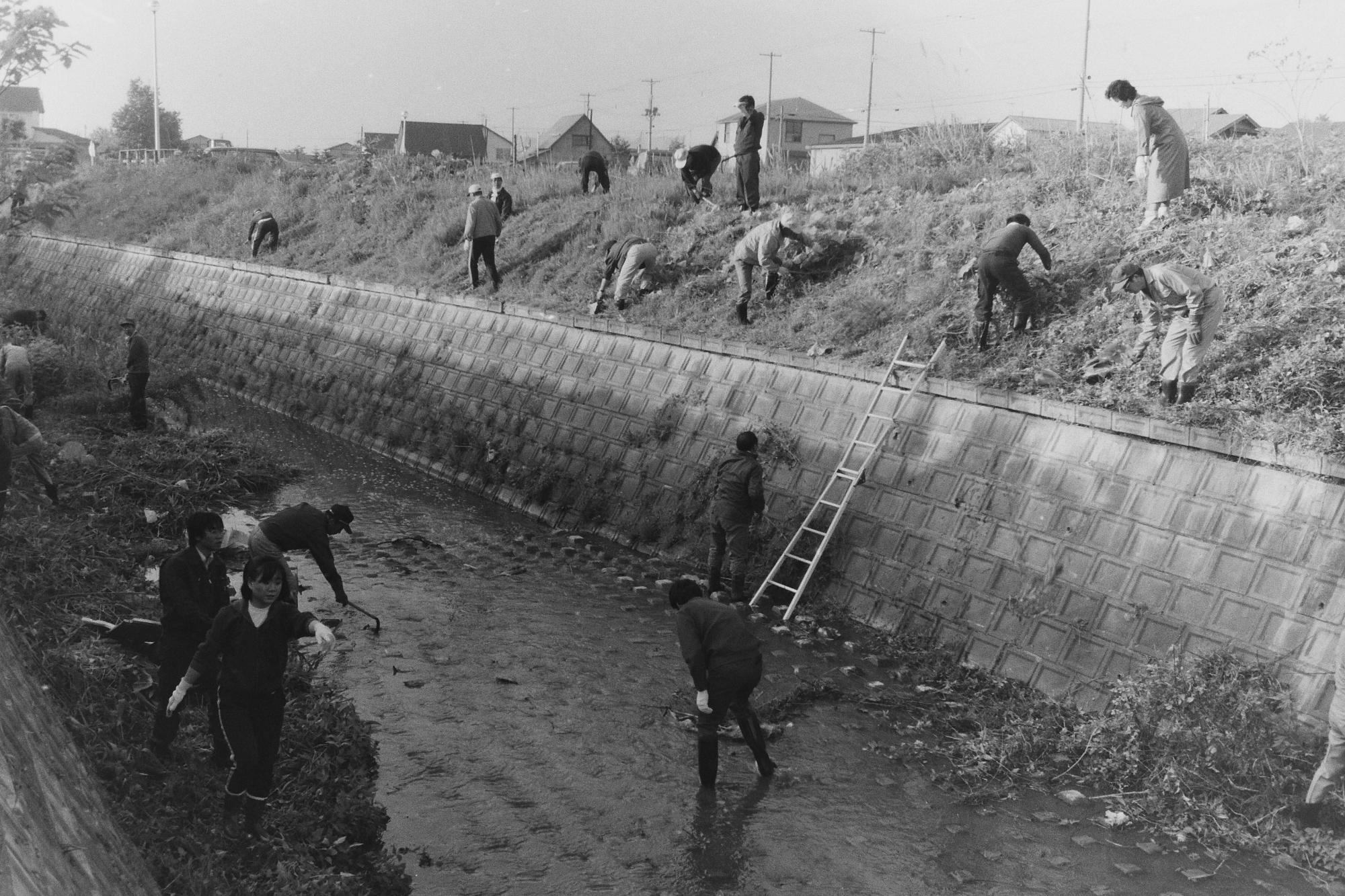 はしごをかけ、川の中や周りを清掃している昭和59年の最上川河川清掃の白黒写真