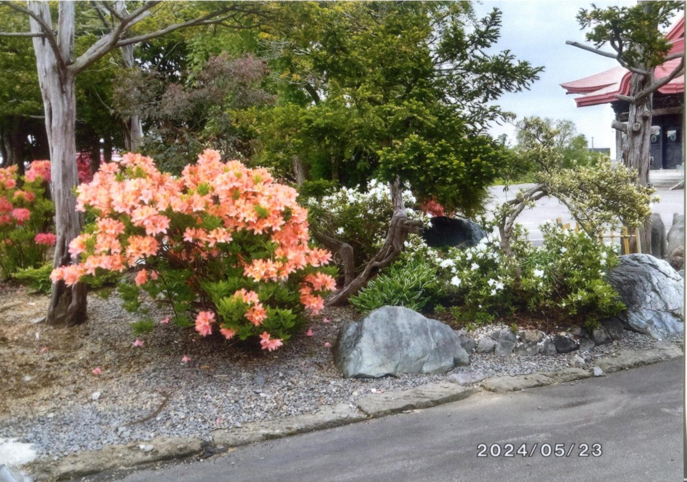 境内の花