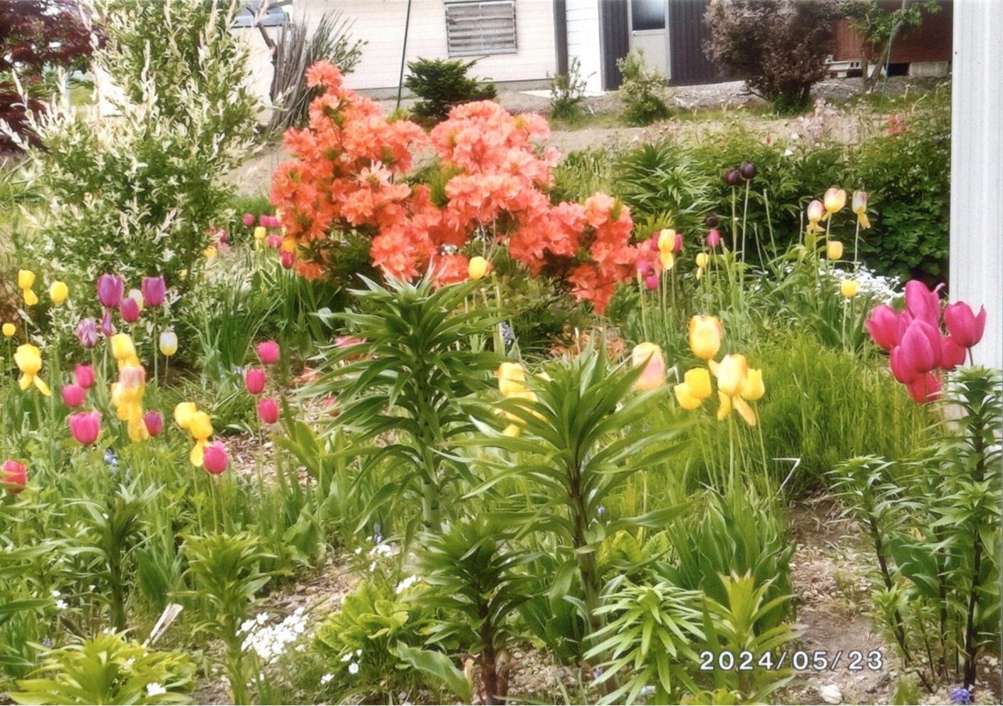 花