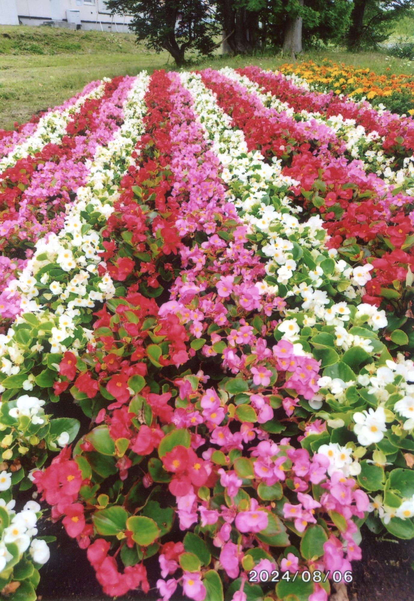 花