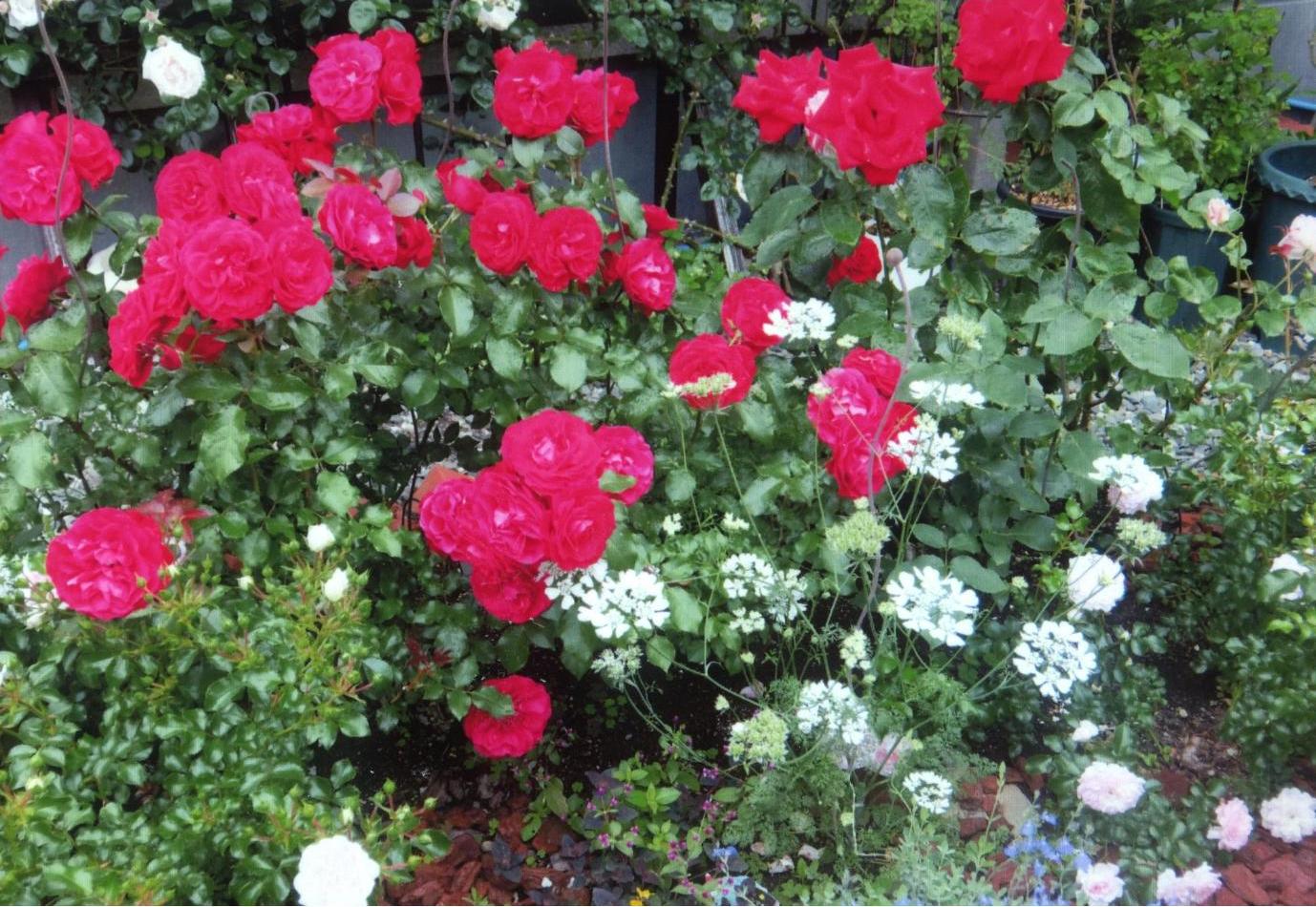 花
