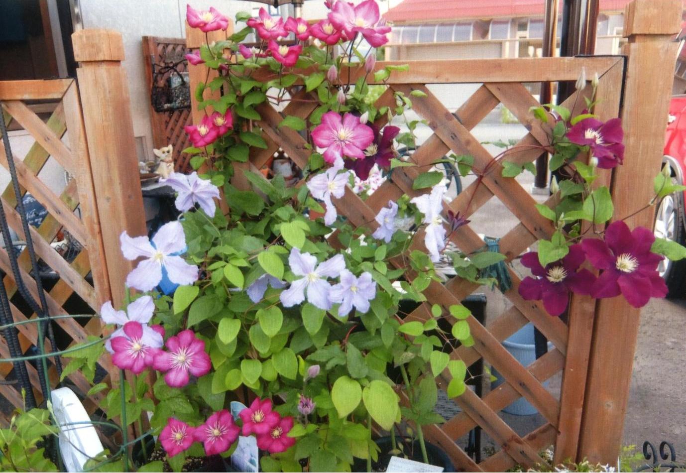 花