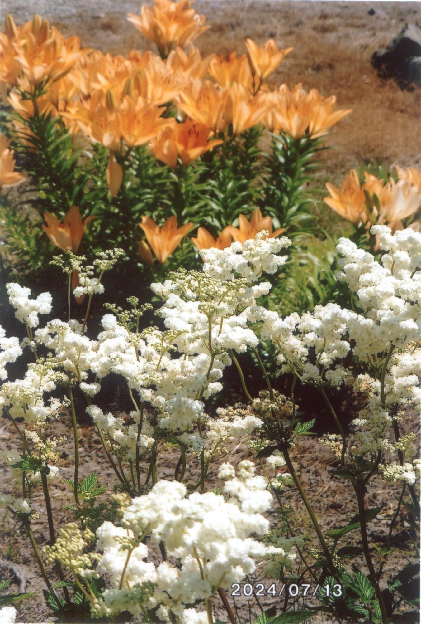 花