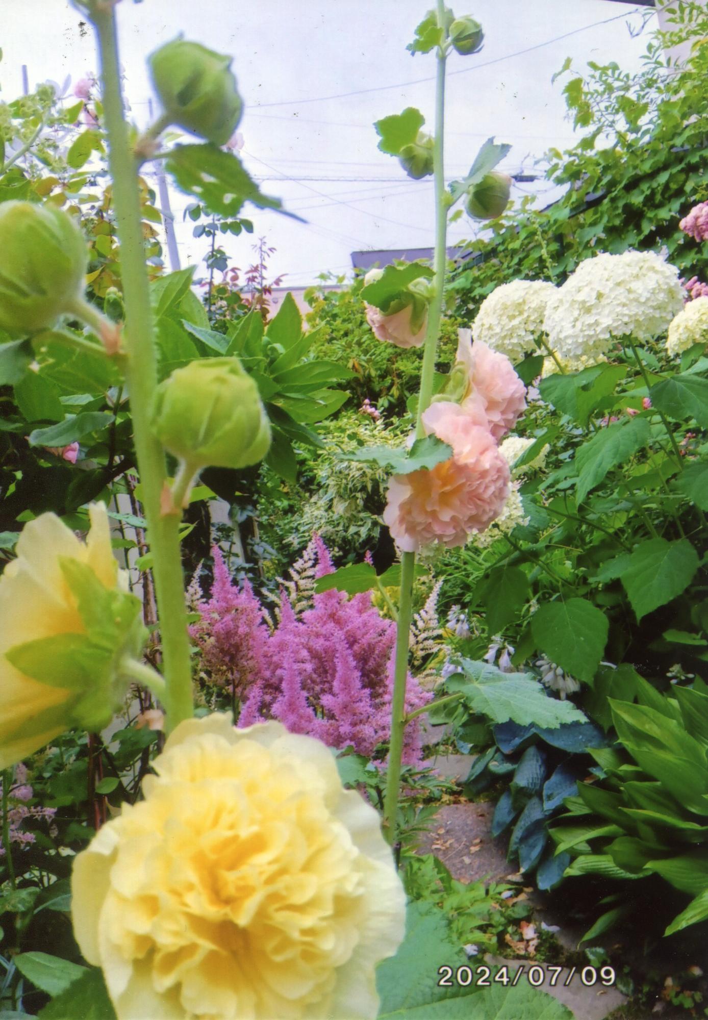 花