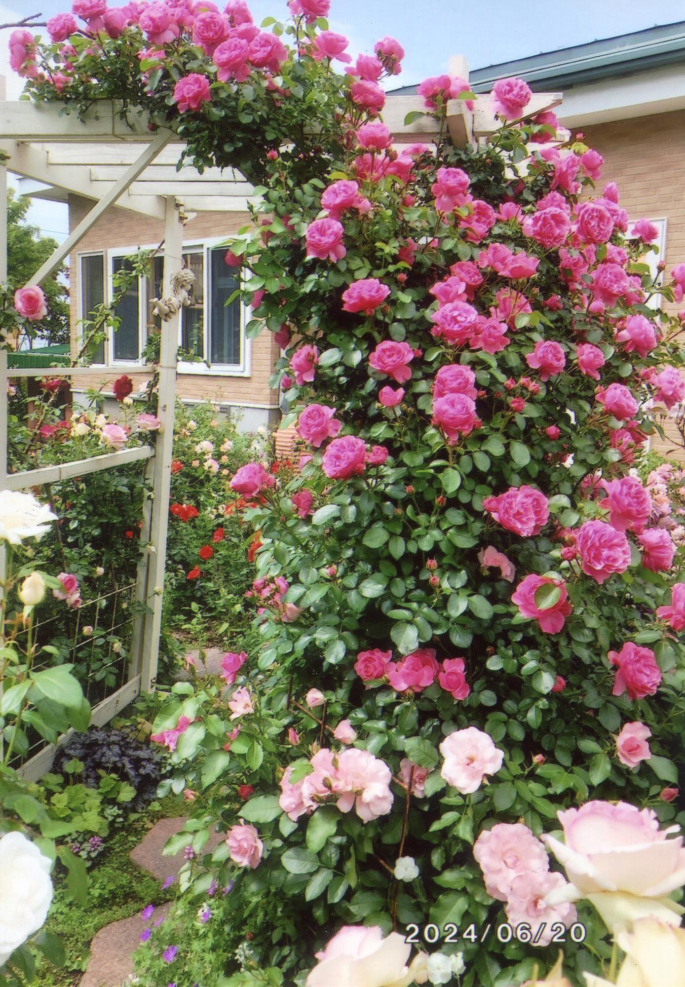 花