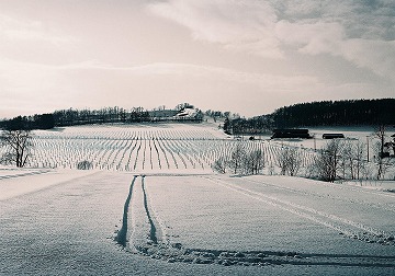 一面雪景色に車輪の跡がついている写真