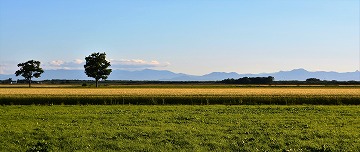 草原の奥に山々が写っている写真