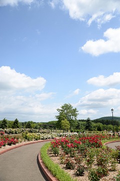 青空を背景に手前にさまざまな花壇が写っている写真