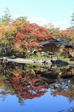 奥にある紅葉した木々や建物が手前の池に写っている写真