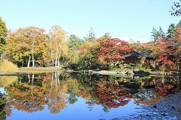 奥にある紅葉した木々や建物が手前の池に写っている写真