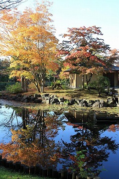 奥にある紅葉した木々や建物が手前の池に写っている写真