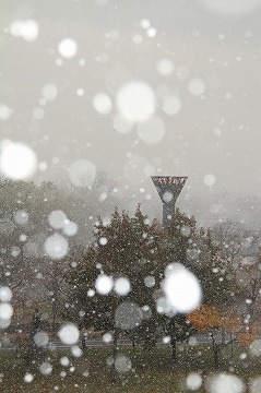 紅葉を背景に雪が降っている様子の写真