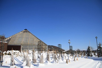 三角屋根の建物と雪景色、青空が写っている写真