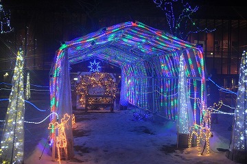 トンネルの形をしたイルミネーションの写真