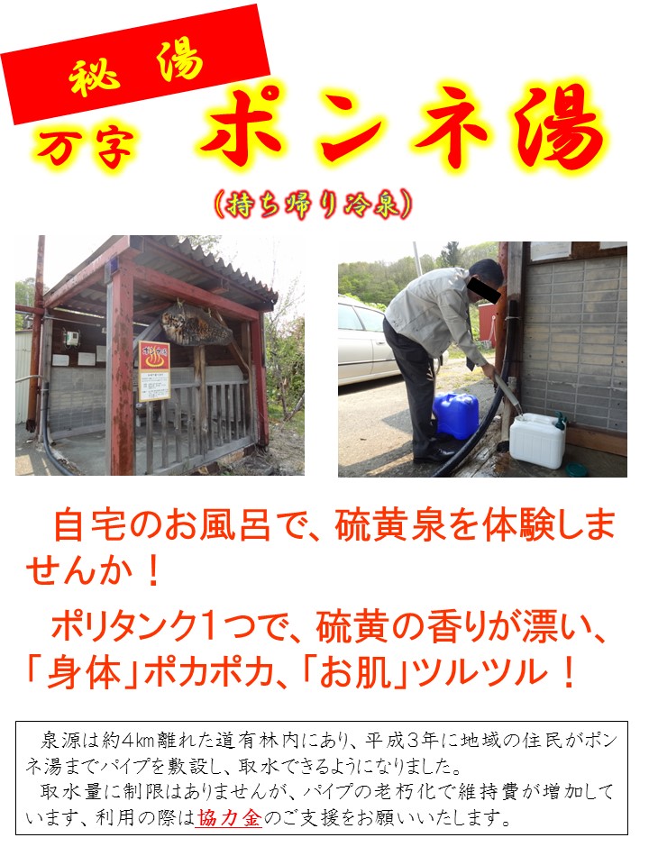 持ち帰り冷泉万字ポンネ湯のチラシ