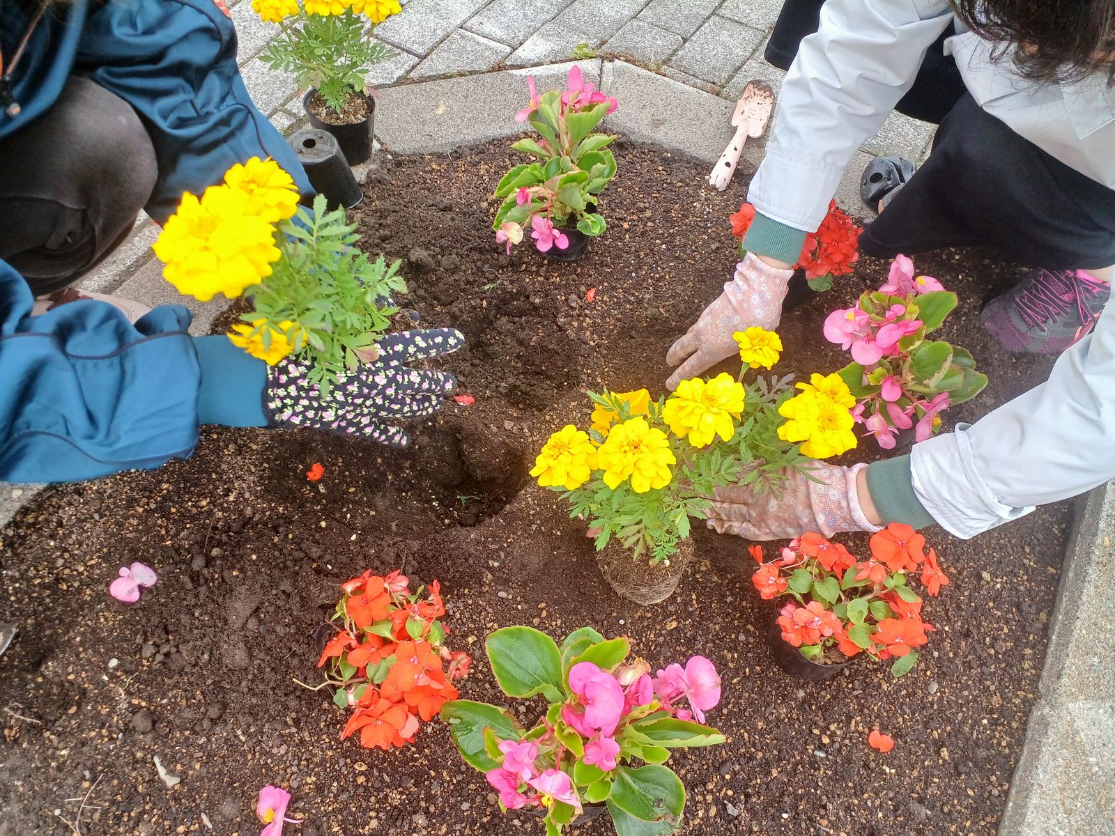 花植えをしている様子。