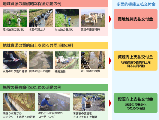 共同活動の例をあげている説明図