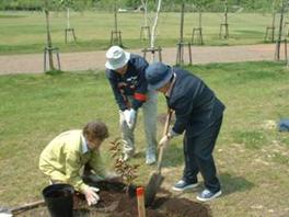 2003年6月7日に行われた植樹の様子の写真