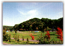 緑豊かないわみざわ公園の様子の写真