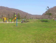 芝生が一面に広がる、いわみざわ公園の写真