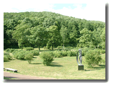 いわみざわ公園のハマナスの丘の様子の写真
