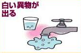 白い異物が出る