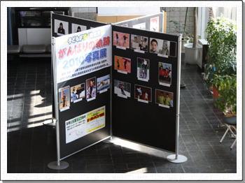 市役所の写真展示の様子の写真