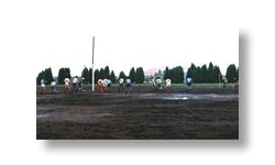 みずほ公園サッカー場全体とそこでサッカーしている人の写真