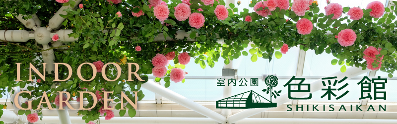 色彩館のタイトル画像