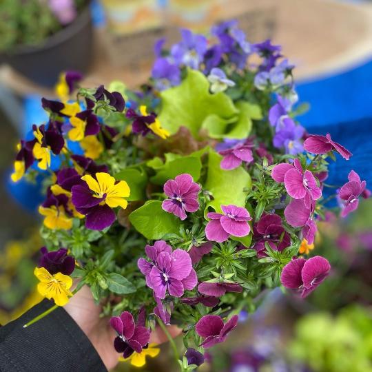 花