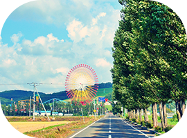 道の先に観覧車