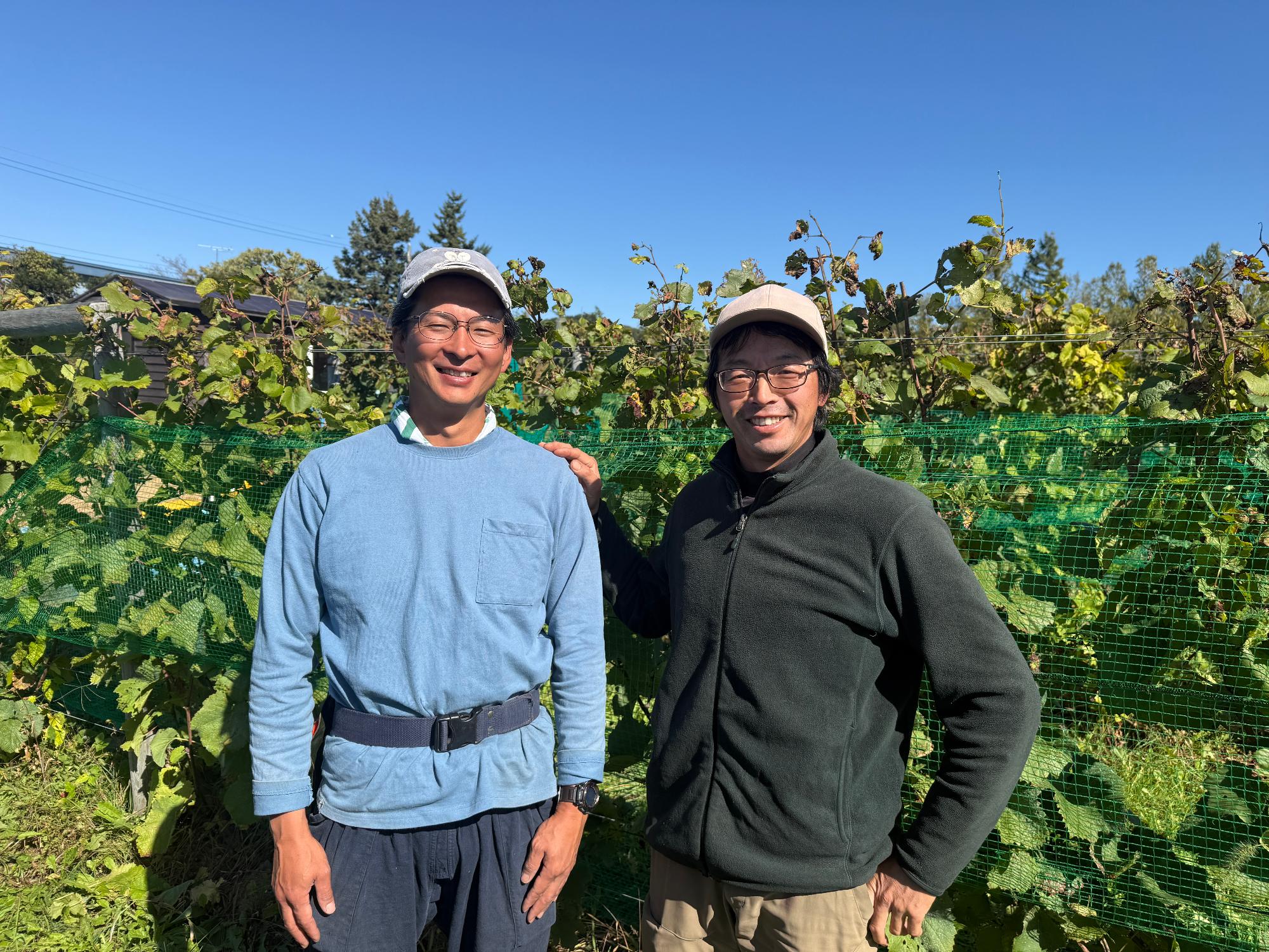 kondoヴィンヤード（栗沢町茂世丑774）の近藤良介さんと、研修中の上田大輔さんがブドウ畑の前でならぶ写真