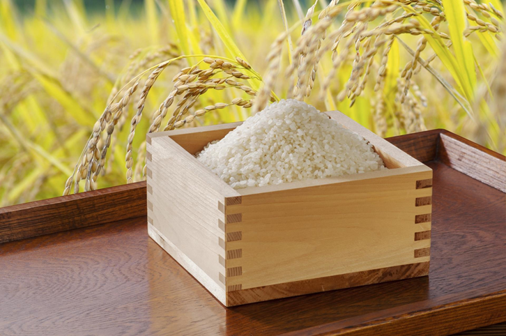 お米と稲穂の写真