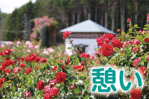 憩い