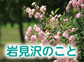 岩見沢のこと