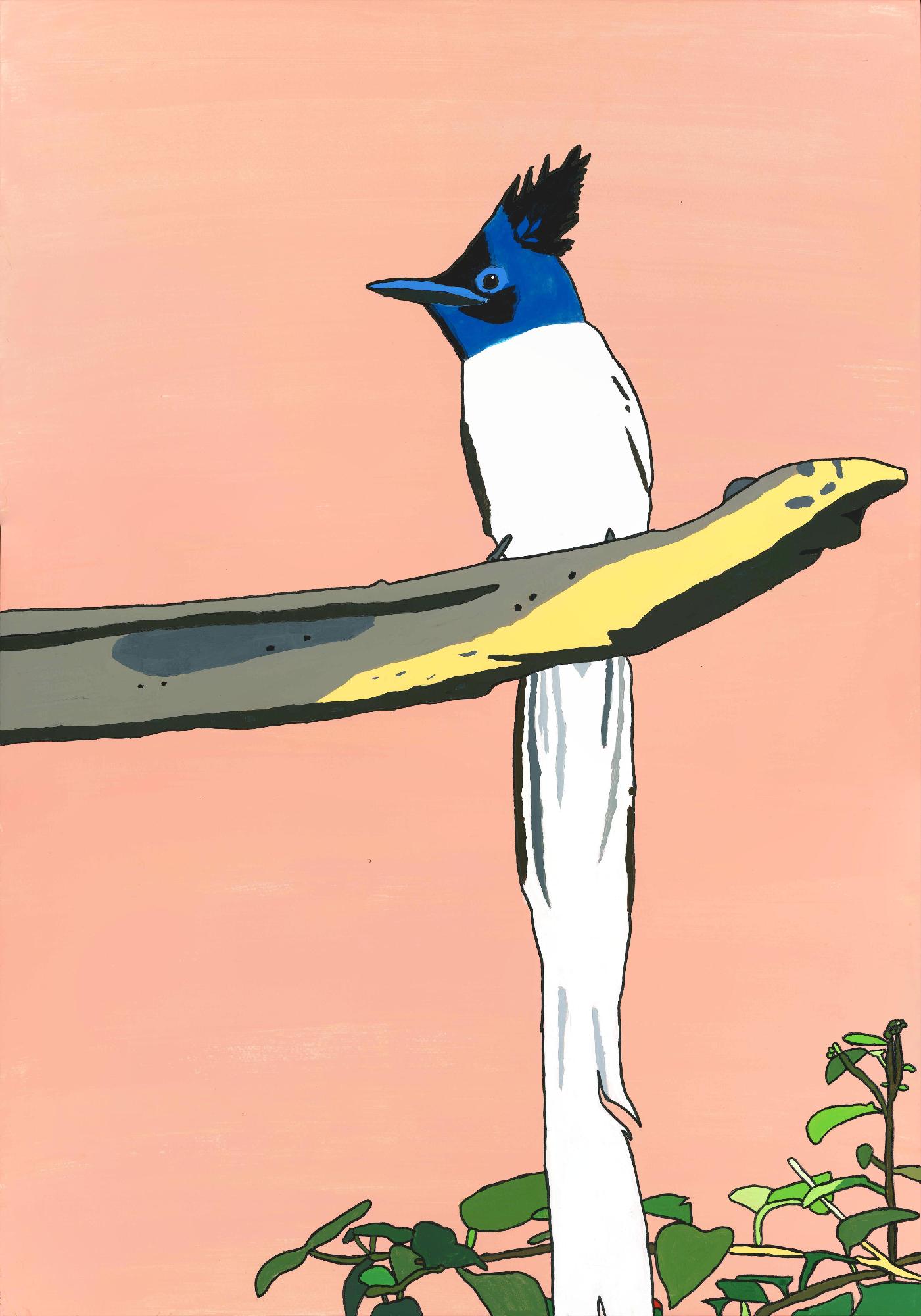 黛和弥「カワリサンコウチョウ白色型」