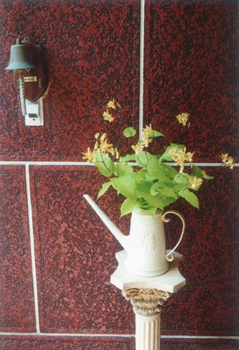 ホトトギスの花