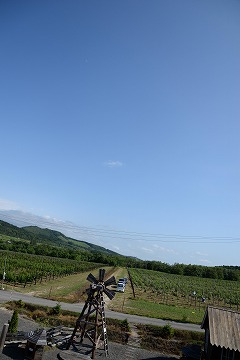 青空とブドウ畑を背景に木造の風車が手前中央に写っている写真