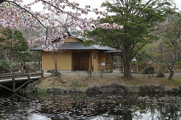 手前に桜と池、奥に小屋が写っている写真