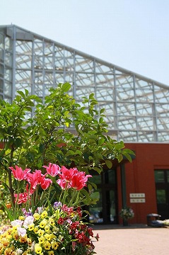 左手前にチューリップなどの花、奥に三角屋根の建物が写っている写真