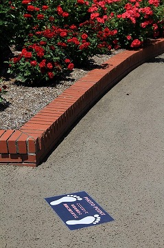 手前に写真撮影のポイントを示す足跡のイラスト、奥に赤いバラの花壇が写っている写真
