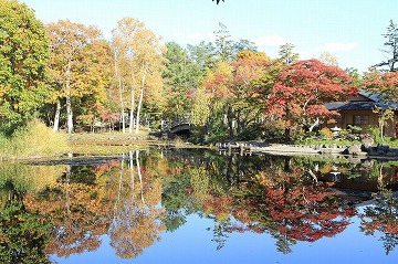 奥にある紅葉した木々、右奥に建物が、手前の池に写っている写真
