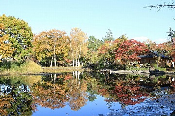 奥にある紅葉した木々や建物が手前の池に写っている写真