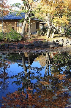 紅葉した木々や建物が手前の池に写っている写真