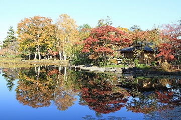 奥にある紅葉した木々や建物が手前の池に写っている写真