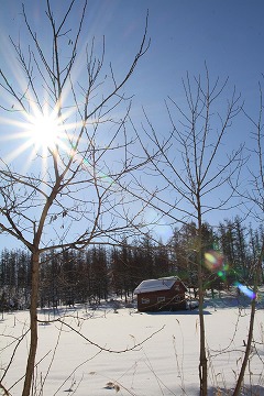 手前に小屋と木々の雪景色、背景に青空と太陽が写っている写真