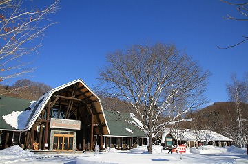 中央左にログハウス風のホテルの玄関と右側に大きな木、青空が写っている写真