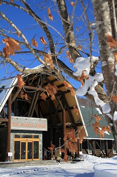 手前に枯れ葉がついた木、奥にログハウス風のホテルの玄関と青空が写っている写真