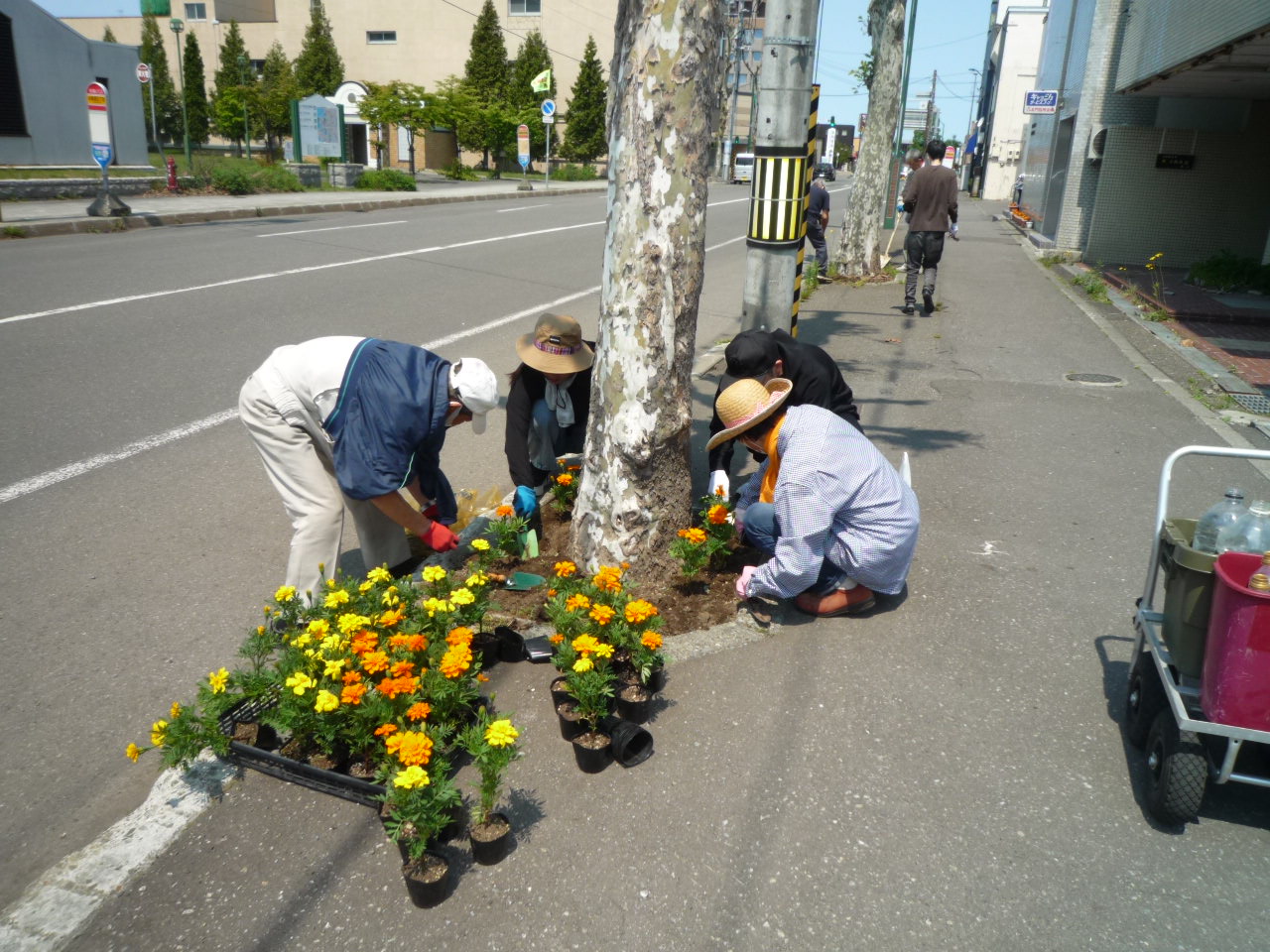 花壇の手入れをしている様子。