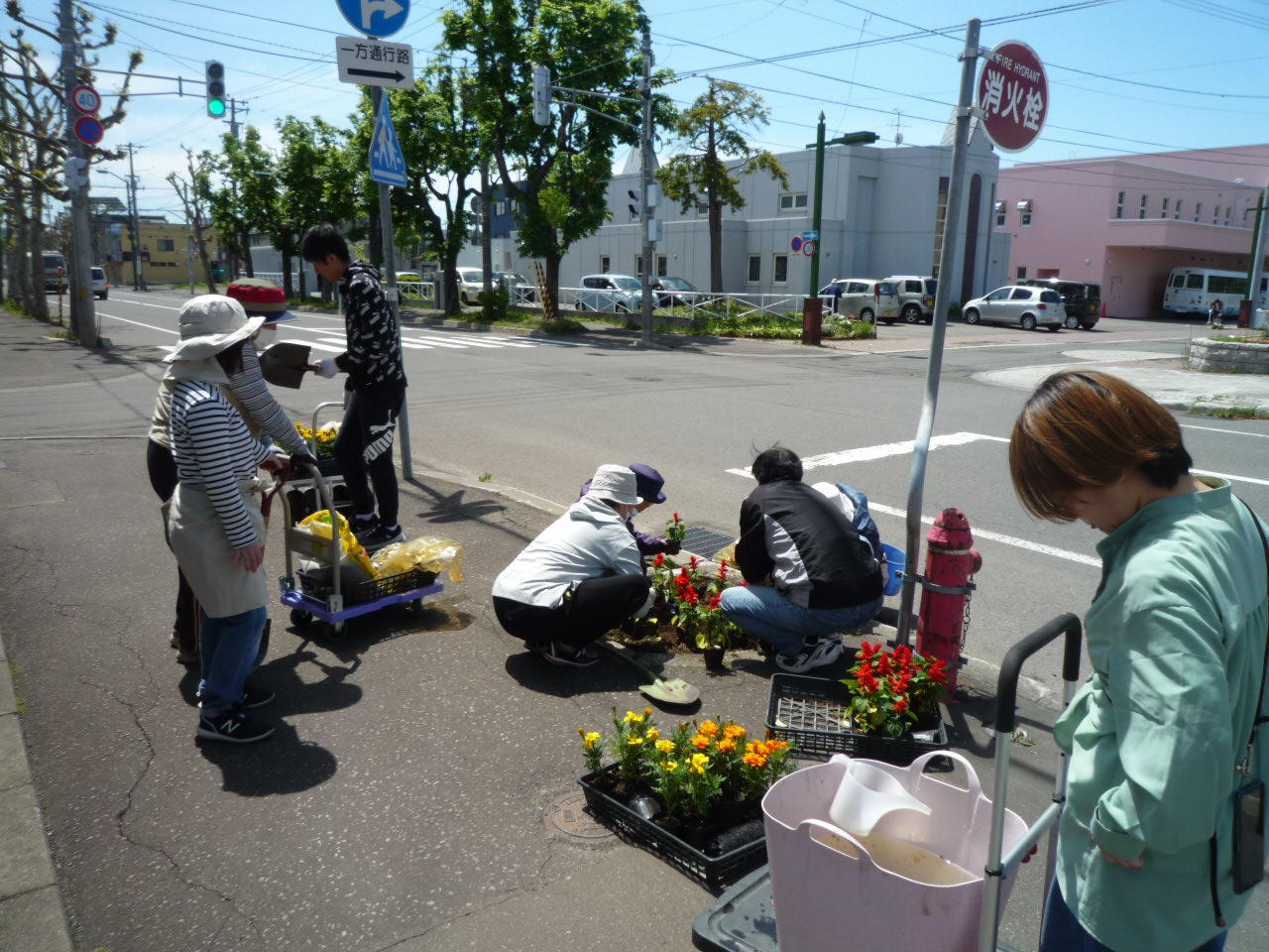 道路の花壇を手入れする、平和町会の方々
